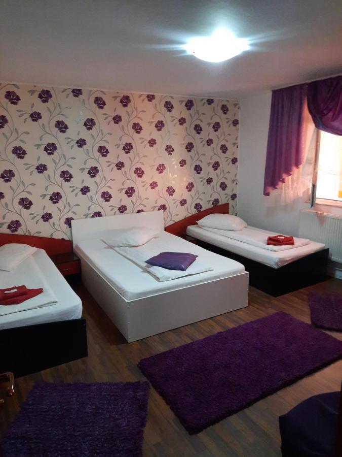 Pensiunea D&D Fagaras Ngoại thất bức ảnh